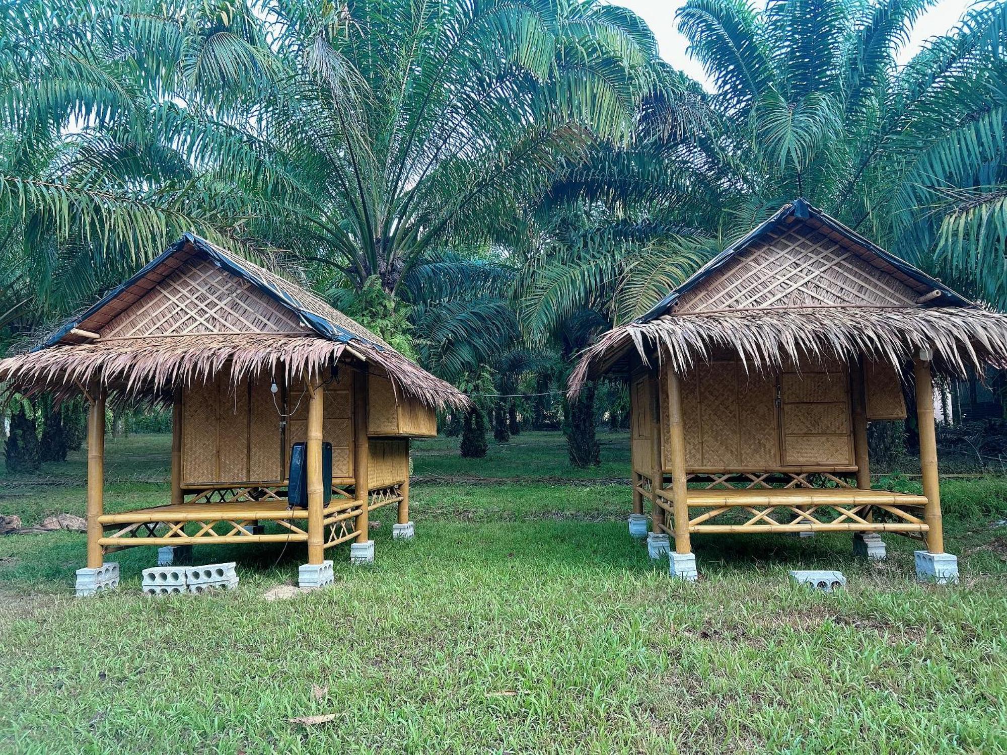 Hotel Khaosok August Freedom Camp Khao Sok National Park Exteriér fotografie