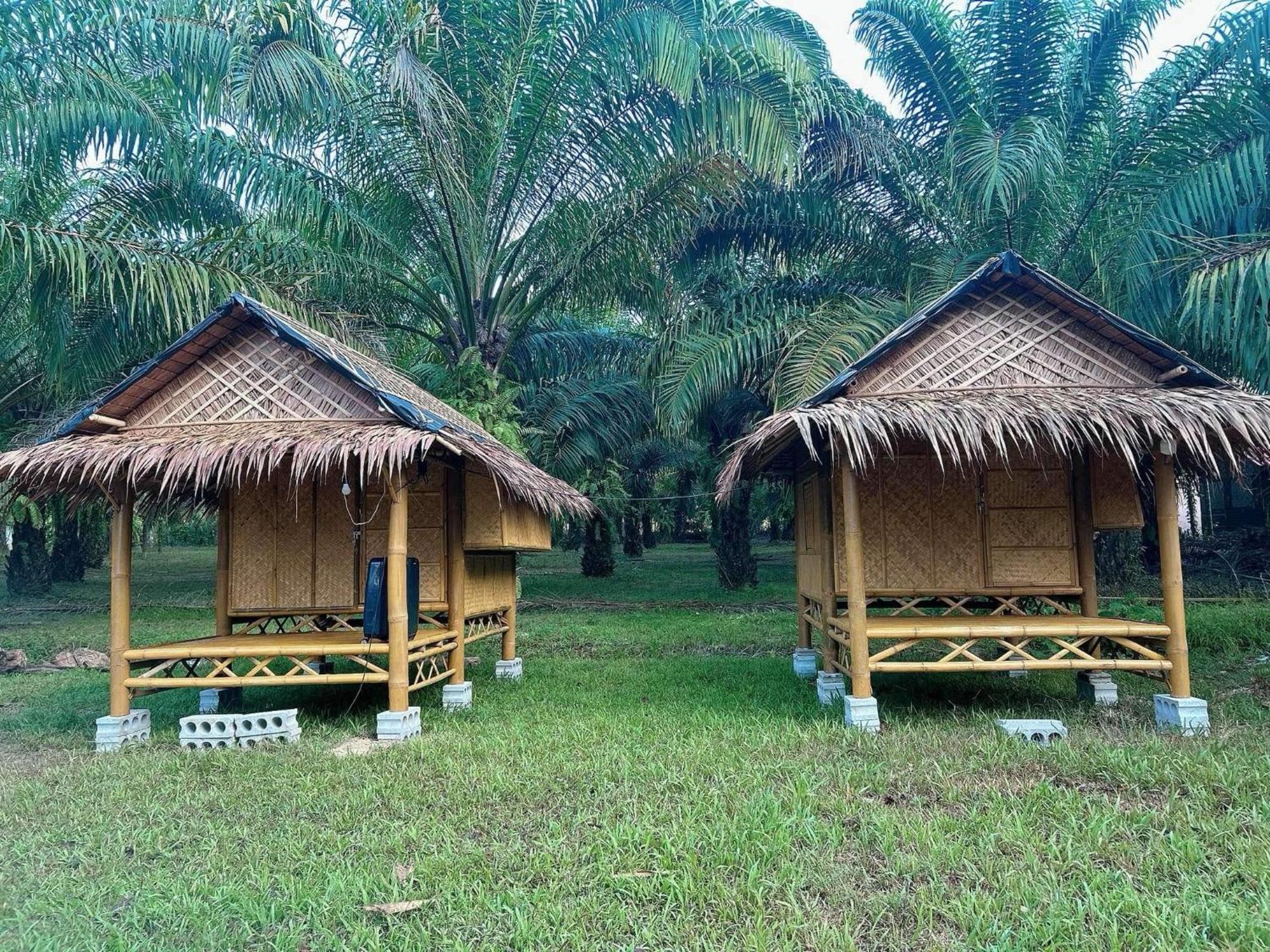 Hotel Khaosok August Freedom Camp Khao Sok National Park Exteriér fotografie
